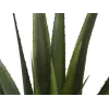 EUROPALMS Künstliche Aloe Vera Pflanze, 60 cm, Schwarzer Topf 82600167