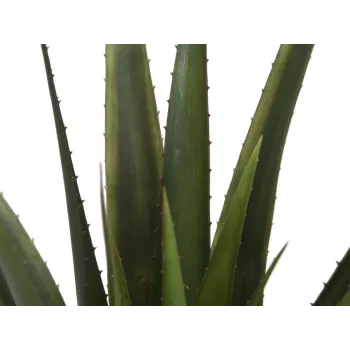EUROPALMS Künstliche Aloe Vera Pflanze, 60 cm, Schwarzer Topf 82600167