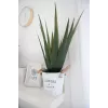 EUROPALMS Künstliche Aloe Vera Pflanze, 60 cm, Schwarzer Topf 82600167