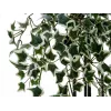 EUROPALMS Holland Ivy Hedge Screen Classic, künstlich, 60cm 82502210
