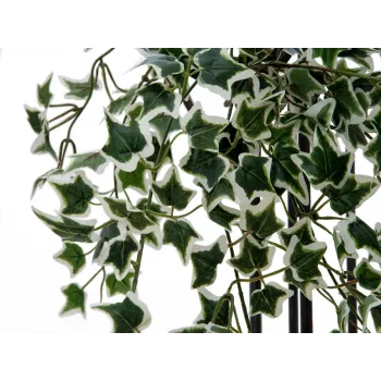 EUROPALMS Holland Ivy Hedge Screen Classic, künstlich, 60cm 82502210