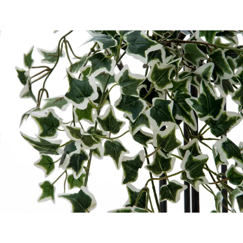 EUROPALMS Holland Ivy Hedge Screen Classic, künstlich, 60cm 82502210