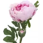 EUROPALMS Peony Branch Classic, Kunstpflanze, Rosa, 80cm 82530210