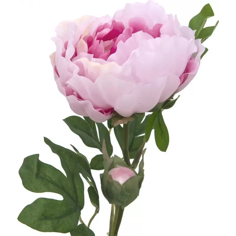 EUROPALMS Peony Branch Classic, Kunstpflanze, Rosa, 80cm 82530210