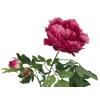 EUROPALMS Premium Pfingstrosenzweig Kunstpflanze, Magenta, 100cm 82530221