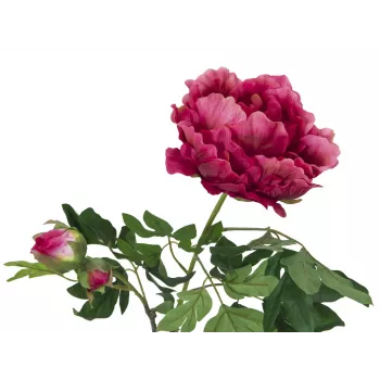 EUROPALMS Premium Pfingstrosenzweig Kunstpflanze, Magenta, 100cm 82530221
