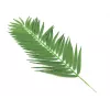 EUROPALMS Kokospalmenwedel, künstlich, 110cm, 12er-Pack 82509897
