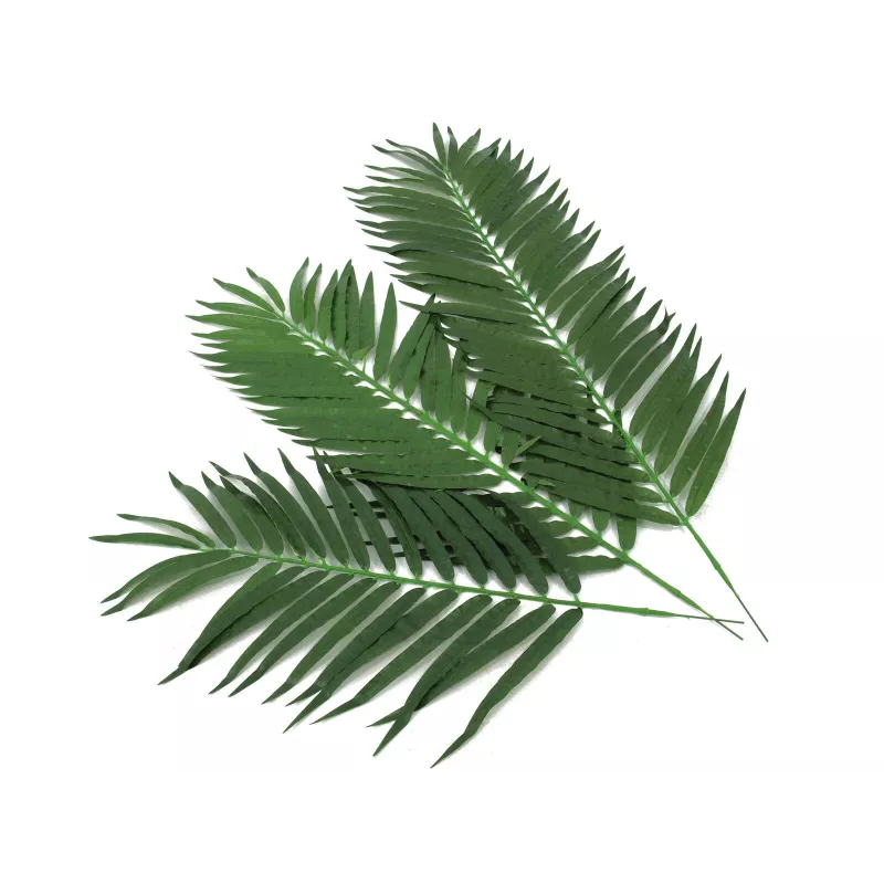 EUROPALMS Kokospalmenwedel, künstlich, 110cm, 12er-Pack 82509897