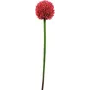 EUROPALMS Künstlicher Allium-Stiel, Rot, 55cm 82530568