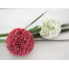 EUROPALMS Künstlicher Allium-Stiel, Rot, 55cm 82530568