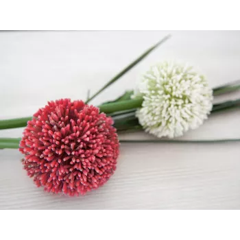 EUROPALMS Künstlicher Allium-Stiel, Rot, 55cm 82530568