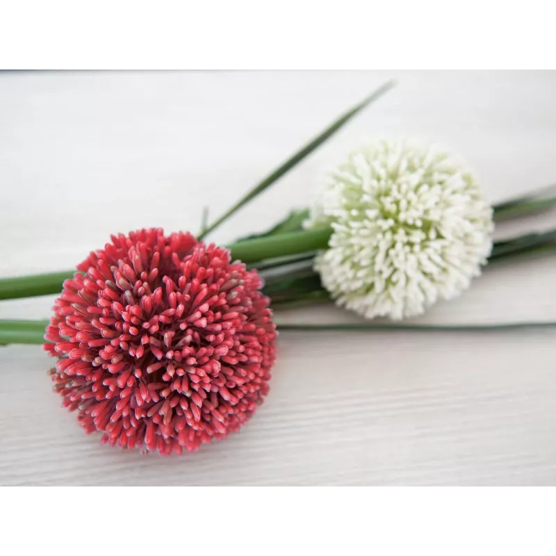 EUROPALMS Künstlicher Allium-Stiel, Rot, 55cm 82530568