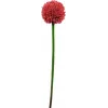 EUROPALMS Künstlicher Allium-Stiel, Rot, 55cm 82530568