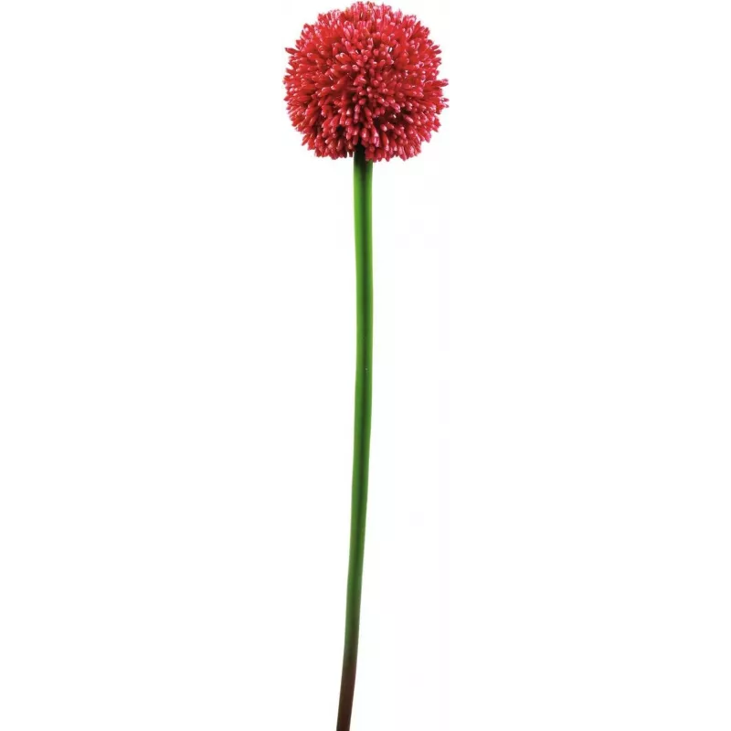EUROPALMS Künstlicher Allium-Stiel, Rot, 55cm 82530568