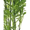 EUROPALMS Künstlicher Bambus in Dekorativer Schale, 120cm 82509261