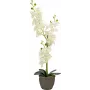 EUROPALMS Orchidee Kunstpflanze, Creme, 80cm 82530361