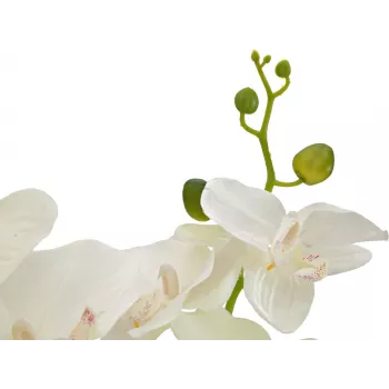 EUROPALMS Orchidee Kunstpflanze, Creme, 80cm 82530361