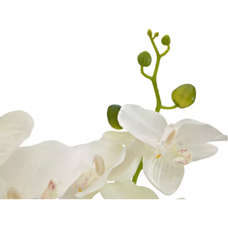 EUROPALMS Orchidee Kunstpflanze, Creme, 80cm 82530361