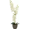 EUROPALMS Orchidee Kunstpflanze, Creme, 80cm 82530361