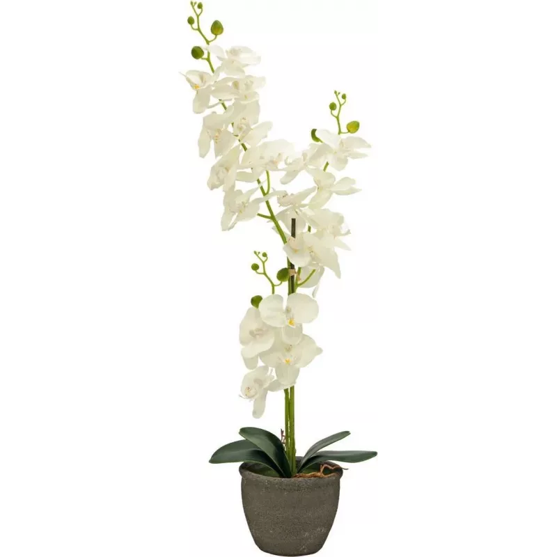 EUROPALMS Orchidee Kunstpflanze, Creme, 80cm 82530361