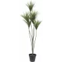EUROPALMS Yucca-Palme Kunstpflanze, 130cm 82511552