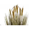 EUROPALMS Künstlicher reifer Weizen, 60cm 82505867