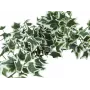 EUROPALMS Holland Ivy Bush Screen Classic, künstlich, 70cm 82502211
