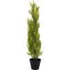 EUROPALMS Leyland-Zypresse Kunstpflanze, 90cm, schwarzer Topf 82606962
