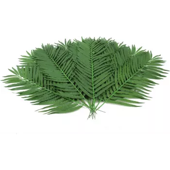 EUROPALMS Künstliche Kokospalmenwedel, 90 cm, 12 Stück, Grün 82509896