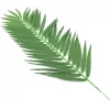 EUROPALMS Künstliche Kokospalmenwedel, 90 cm, 12 Stück, Grün 82509896