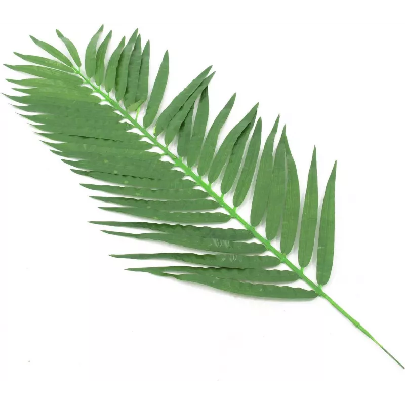 EUROPALMS Künstliche Kokospalmenwedel, 90 cm, 12 Stück, Grün 82509896