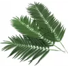 EUROPALMS Künstliche Kokospalmenwedel, 90 cm, 12 Stück, Grün 82509896