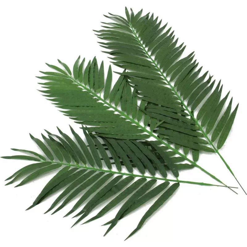 EUROPALMS Künstliche Kokospalmenwedel, 90 cm, 12 Stück, Grün 82509896