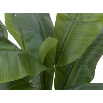 EUROPALMS Künstlicher Bananenbaum, 120cm, realistische grüne Blätter, schwarzer Topf 82509537