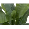 EUROPALMS Künstlicher Bananenbaum, 120cm, realistische grüne Blätter, schwarzer Topf 82509537