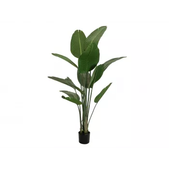 EUROPALMS Künstliche Strelitzia, 170 cm 82540523