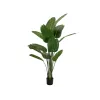 EUROPALMS Künstliche Strelitzia, 170 cm 82540523