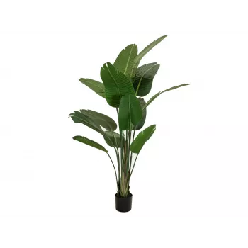EUROPALMS Künstliche Strelitzia, 170 cm 82540523