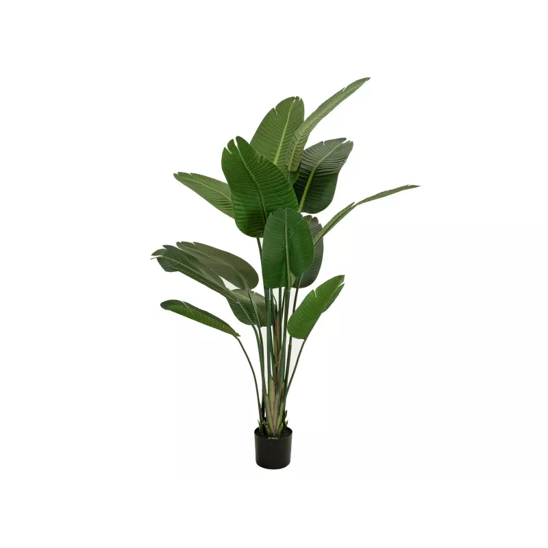 EUROPALMS Künstliche Strelitzia, 170 cm 82540523
