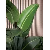EUROPALMS Künstliche Strelitzia, 170 cm 82540523