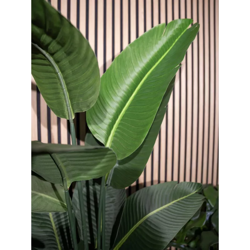 EUROPALMS Künstliche Strelitzia, 170 cm 82540523