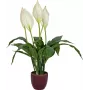 EUROPALMS Künstliche Friedenslilie, 60 cm 82505660