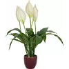 EUROPALMS Künstliche Friedenslilie, 60 cm 82505660