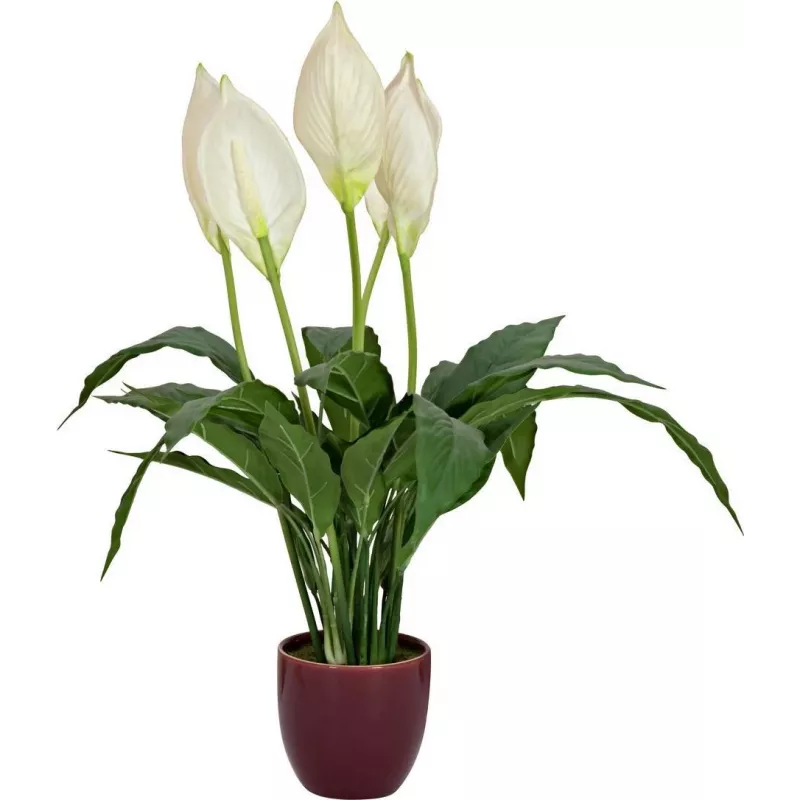 EUROPALMS Künstliche Friedenslilie, 60 cm 82505660