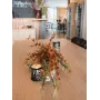 EUROPALMS Künstlicher Eukalyptuszweig, Orange, 110cm 82505621