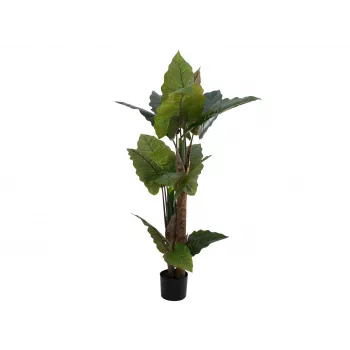 EUROPALMS Alocasia Kunstpflanze, 140cm, Grün, Schwarzer Topf 82508464