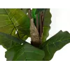 EUROPALMS Alocasia Kunstpflanze, 140cm, Grün, Schwarzer Topf 82508464