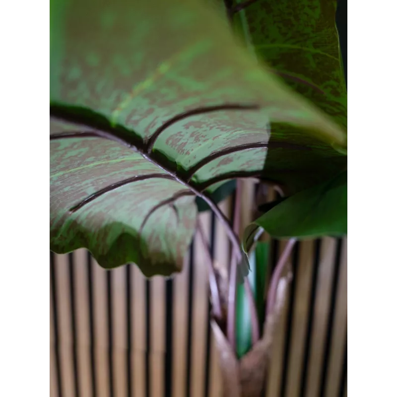 EUROPALMS Alocasia Kunstpflanze, 140cm, Grün, Schwarzer Topf 82508464