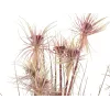 EUROPALMS Sunny-Gras Kunstgraspflanze, 120 cm, grün mit schwarzem Topf 82600172