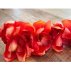 EUROPALMS Cymbidium Zweig, künstlich, rot, 90cm (82530315)